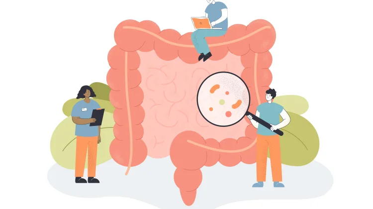 Gut Health Jadi Tren 2026, Kesehatan Usus Disebut Berpengaruh ke Imun hingga Mental