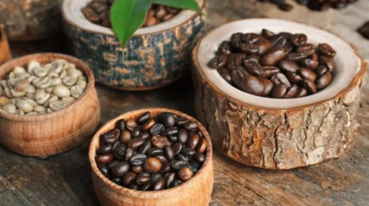 Robusta atau Arabika, Mana Lebih Aman untuk Lambung?
