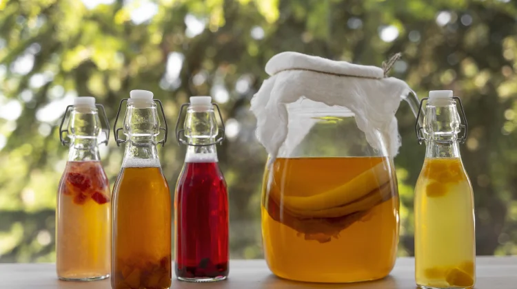 Kombucha, Teh Probiotik dengan Sejuta Manfaatnya