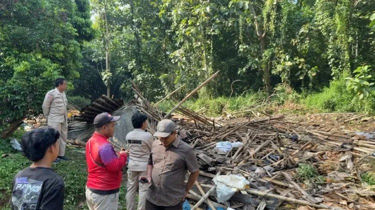 Kandang Ayam di Kerjo Karanganyar Roboh, Ribuan Ayam Mati