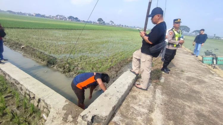Polisi Selidiki Penyebab Perempuan Asal Grobogan  Tewas di Sawah Sragen