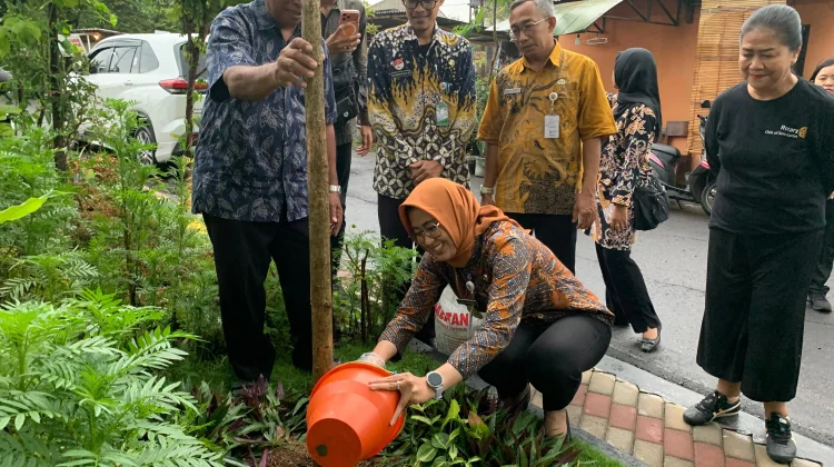 Astrid Widayani Percantik Taman Toleransi Ketelan Dengan Tanam Tabebuya