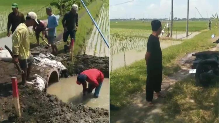 Kepala Desa Gawan Sesalkan Aksi Sepihak Petani Jono, Bongkar Saluran Irigasi