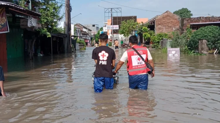 Bantu Korban Terdampak Banjir, PMI Solo Kerahkan Ambulans hingga Relawan