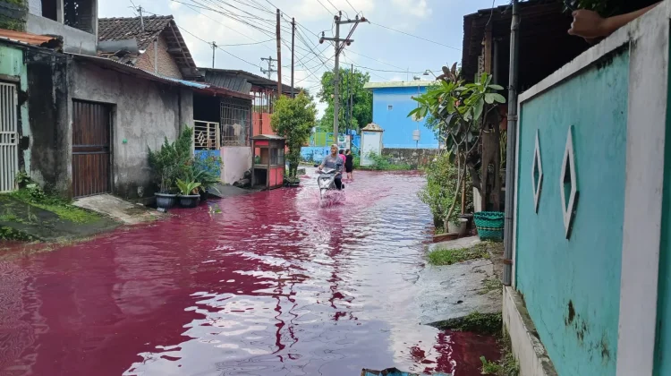 Viral Banjir Joyotakan Berwarna Merah, Ini Faktanya