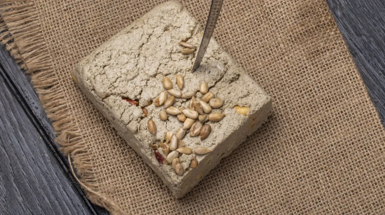 “Tempe Busuk” Jadi Rahasia Rasa Masakan Jawa, Ini Penjelasan Ilmiahnya