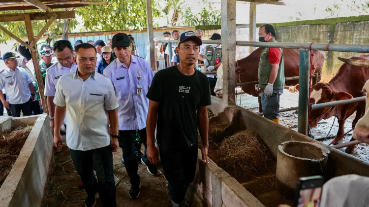 Gubernur Gencarkan Layanan Kesehatan Hewan Keliling Cegah Penyakit Ternak