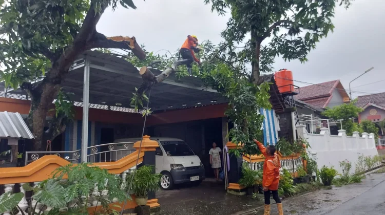 Waspada Angin Kencang Warnai Masa Pancaroba Wonogiri