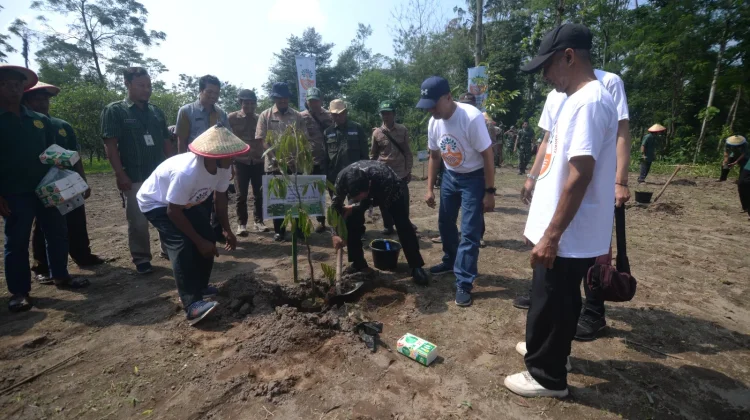 Desa Bengking Jatinom Klaten Dapat Bantuan CSR Ribuan Bibit Buah