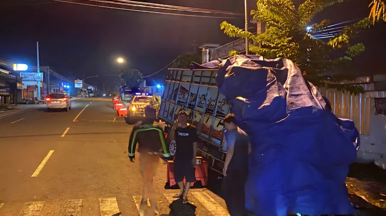 Diduga Sopir Ngantuk, Truk Daun Jeruk Tabrak Pohon di Wonogiri