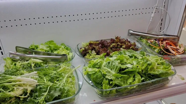 Pentingnya Konsumsi Salad Sayur bagi Kesehatan Tubuh
