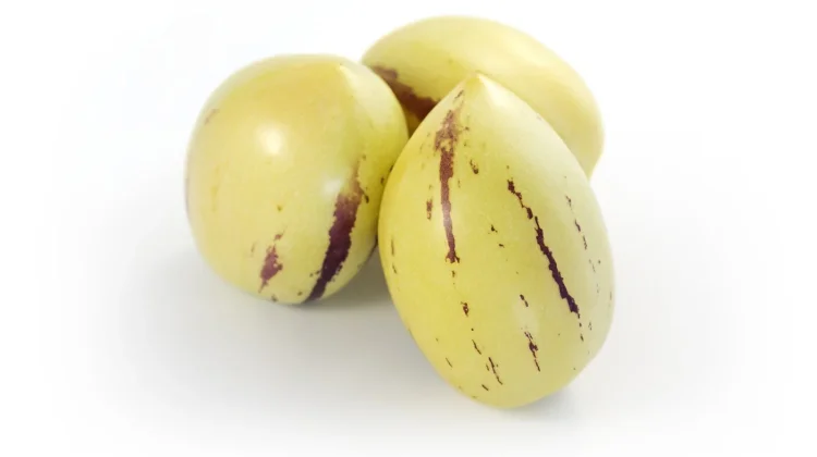 Sekeluarga dengan Terong, inilah Manfaat Buah Pepino