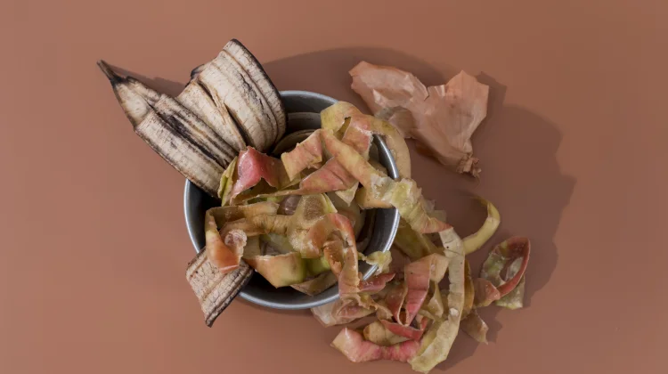 Cara Mudah Menyimpan Makanan agar Tidak Basi