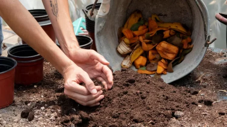 Mengolah Limbah Dapur Jadi Kompos