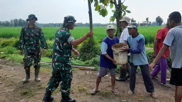Kakek Sutarno Jadi Penyemangat Satgas TMMD di Sragen