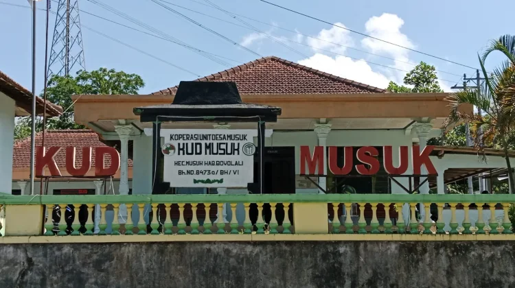 Gaduh Pengurus KUD Musuk Terima SK ‘Siluman’.
