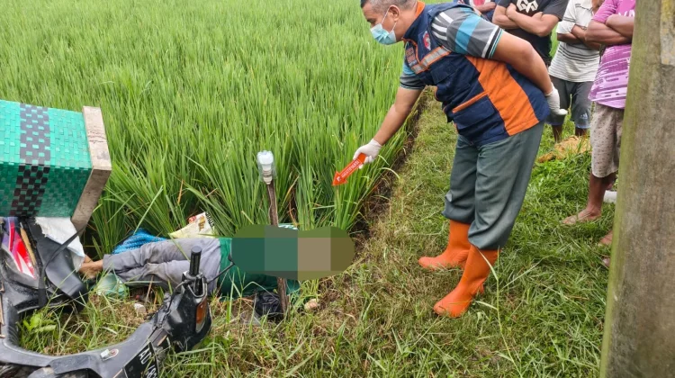 Kronologi Petani di Sragen Tewas Tersengat Jebakan Tikus, Bermula Jatuh dari Motor
