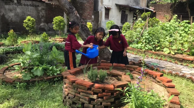SD Kanisius Pucangsawit Terapkan Pembelajaran Holistik Berbasis Kebun