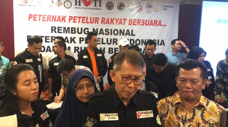 Peternak Rakyat Minta Program Makan Bergizi Gratis Serap Telur