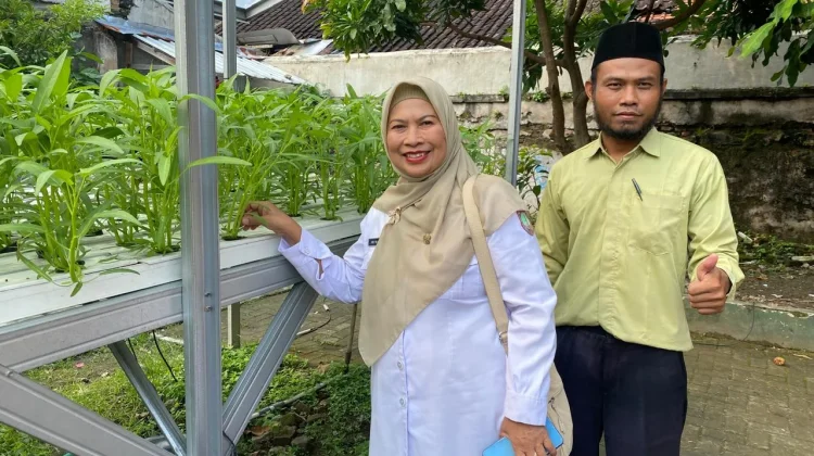 Monitoring PSAJ, Pengawas Panen Hidroponik di SD Muhamadiyah 24 Solo