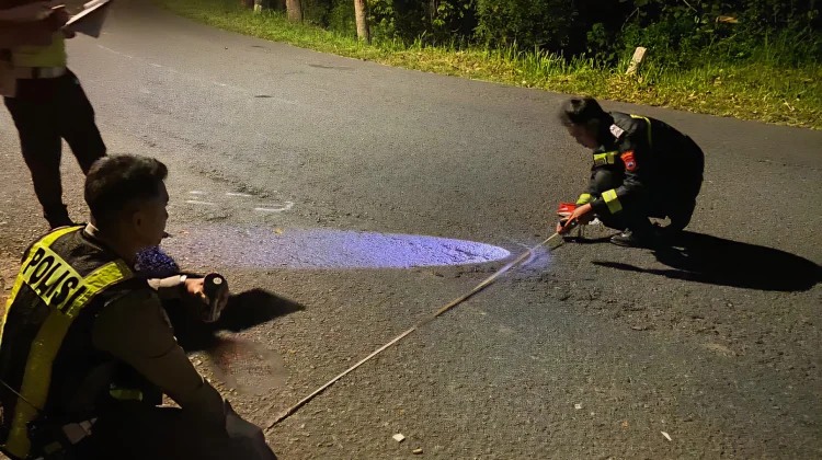 Tabrakan Maut Ngadirojo, Polisi Soroti Jalur Menikung