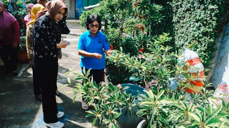 Kunjungi KWT Kelurahan Timuran, Wawali Solo Apresiasi Semangat Warga