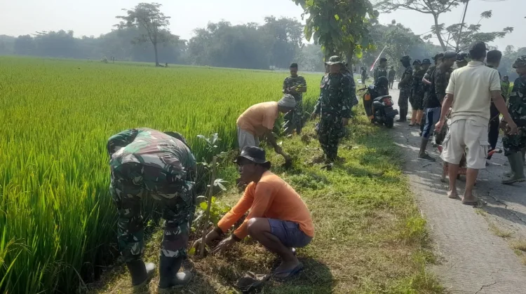 Satgas TMMD Tanam 500 Pohon di Sidikan