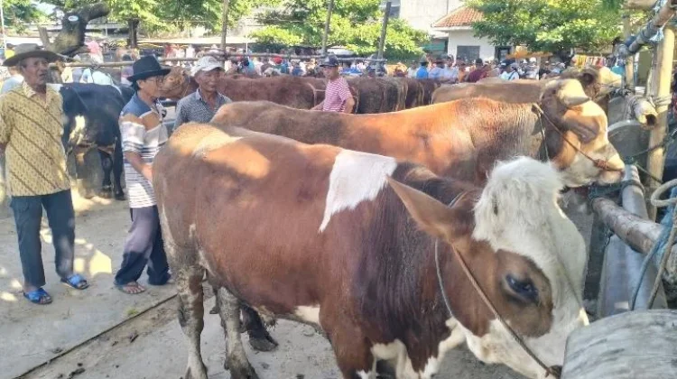 Kapolres Klaten Pantau Pasar Hewan; Waspada Potensi Peredaran Uang Palsu