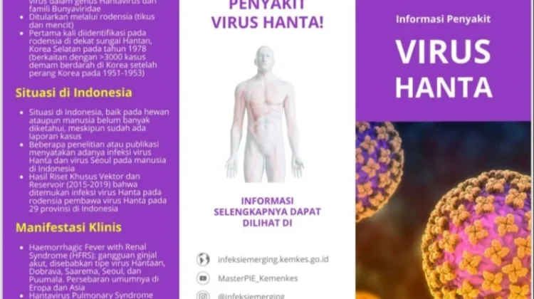 Mengenal Hantavirus, Virus dari Tikus yang Perlu Diwaspadai