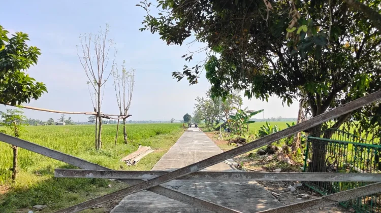 Kades Puro Minta Warga Jaga Jalan Cor Hasil TMMD Sragen
