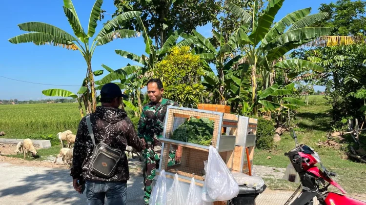 Akses Jalan TMMD Kodim Sragen Dongkrak Ekonomi Pedagang Keliling