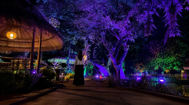 Safari Vibes Hadirkan Wisata Malam Estetik Di Solo