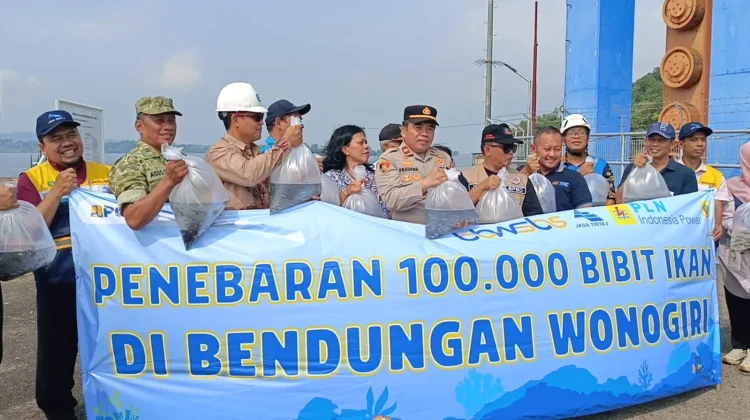 Seratus Ribu Bibit Ikan Ditebar di Waduk Gajah Mungkur