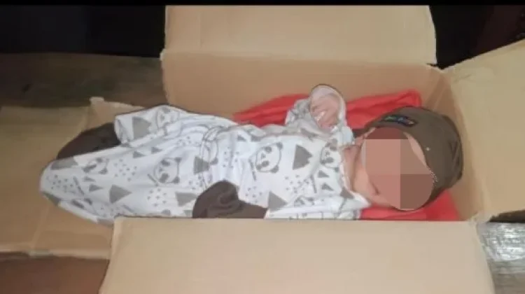 Geger Penemuan Bayi Perempuan dalam Kardus di Sidoharjo Sragen, Polisi Buru Pelaku