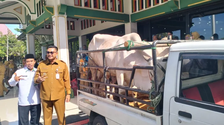 Pemkab Klaten Salurkan Bantuan Hewan Kurban, 9 Sapi dan 47 Kambing