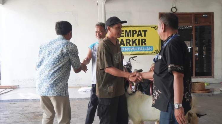 Jasamarga Solo Ngawi Salurkan Hewan Kurban Untuk Warga