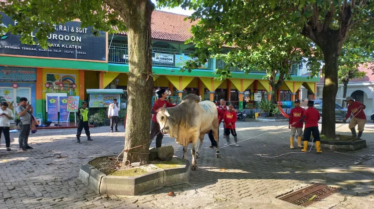 Bupati Klaten Serahkan Hewan Kurban Bantuan Presiden di Masjid Raya