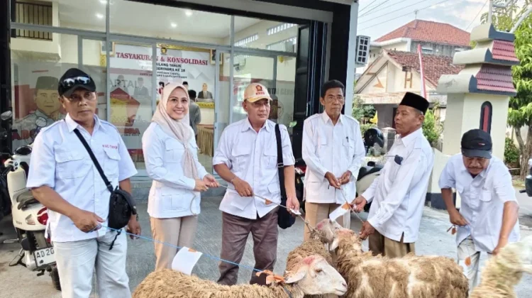 Gerindra Sragen Salurkan 21 Ekor Kambing Kurban dari Sudaryono ke Tingkat PAC