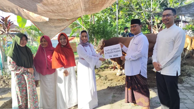 Sapi Kurban Presiden Prabowo,  disembelih  di Masjid Al Ikhlas, Banaran Grogol