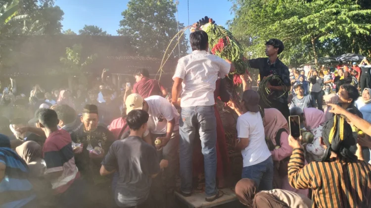 Gelar Budaya Kampung Cetok Gantiwarno Klaten Berlangsung Meriah
