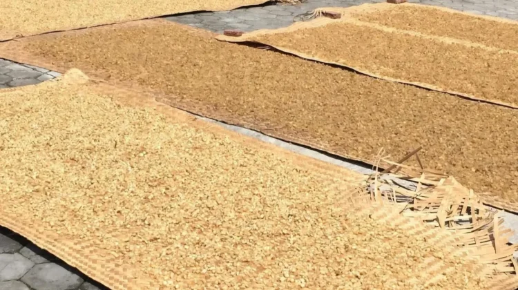 Harga Kulit Anjlok, Produsen Rambak di Sukoharjo Tetap Bertahan