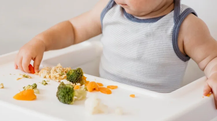 Metode MPASI Baby Led Weaning (BLW), Perlukah Dicoba?