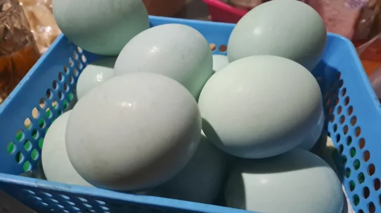 Kandungan Vitamin Telur Asin dan Manfaatnya buat Kesehatan Tubuh