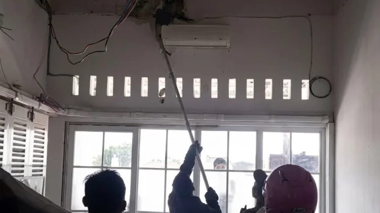 Kera Liar Masuk Rumah Warga di Miri Sragen, Petugas Damkar Turun Tangan