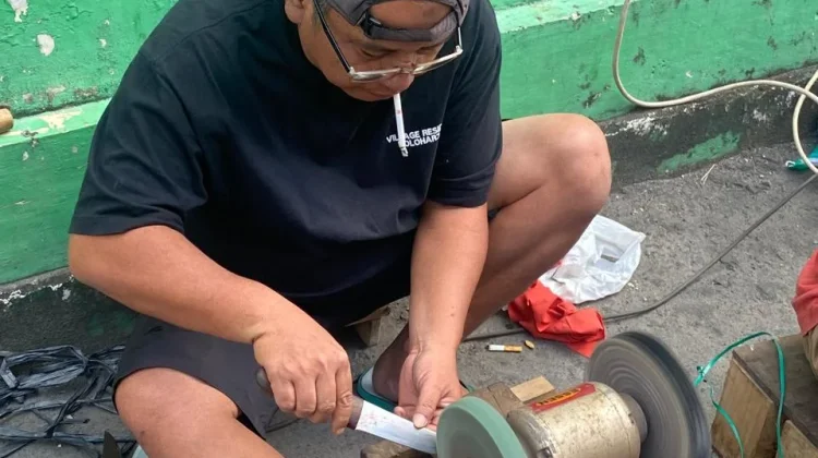 Tajam Sempurna! Panduan Lengkap Mengasah Pisau Dapur dengan Benar