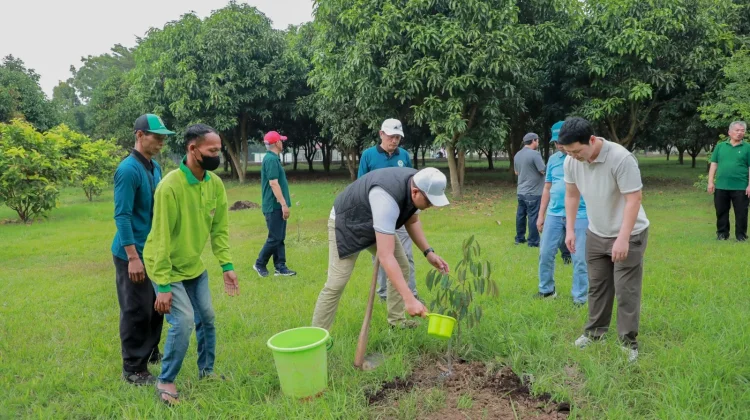 Hari Lingkungan Hidup Sedunia, Pemkab Klaten Tanam Ratusan Pohon