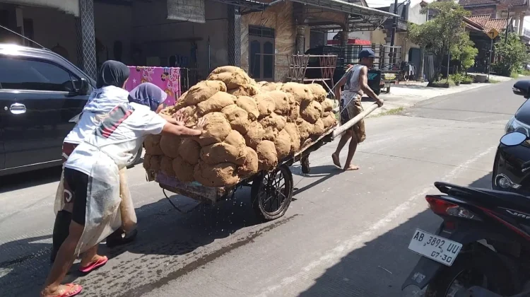 Simalakama, Dilema Cuan dan Limbah Industri Pati Aren Kecamatan Tulung