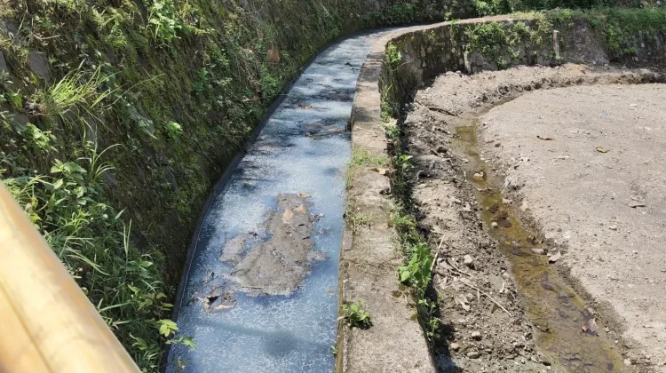 Kala Sawah Petani Klaten Tercemar Limbah Mi Soun, Petani Rindu Air Jernih