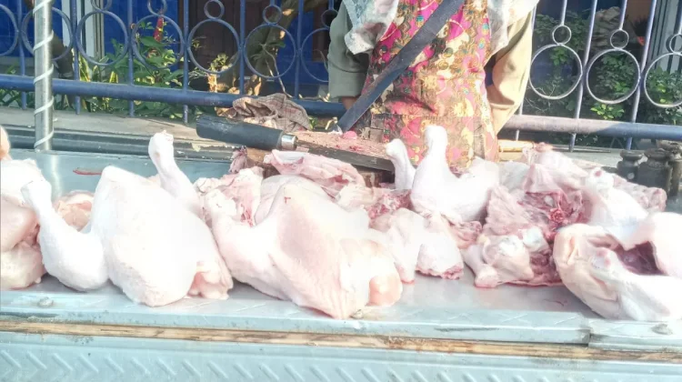 Harga Daging Ayam di Solo Anjlok hingga 30 Ribu Perkilo, Ini Penyebabnya