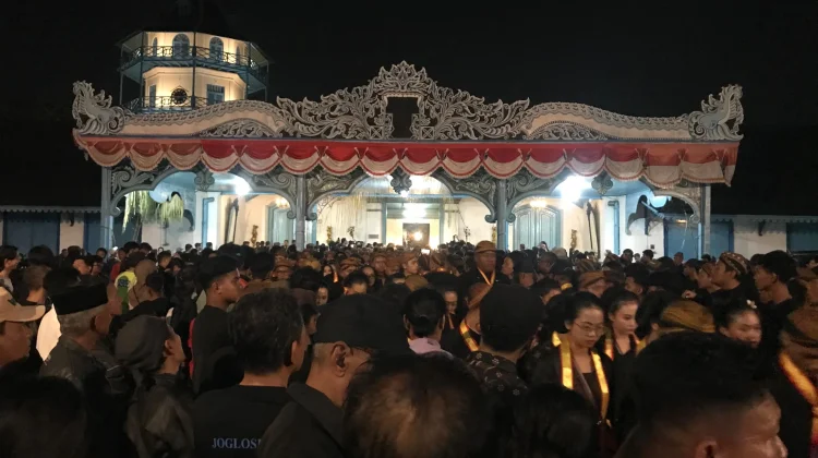 Kirab 1 Suro Hanya Diikuti Tiga Kebo Bule, Ini Penyebabnya